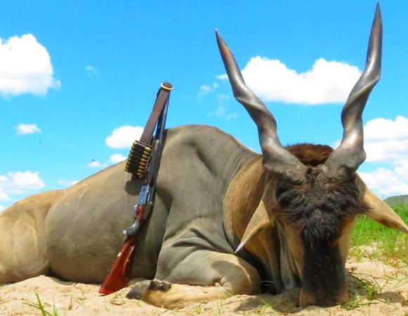 Hunting in Southern Tanzania, South of Selous Game Reserve
