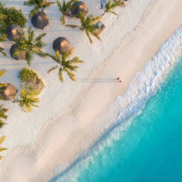 Zanzibar to Serengeti